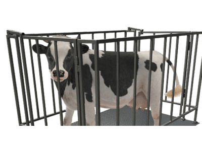 Выбор весов для взвешивания животных