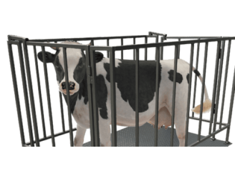 Выбор весов для взвешивания животных