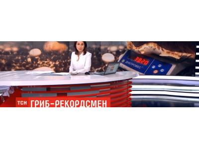 Фиксируем рекордный вес гриба с точным оборудованием от Днепровес