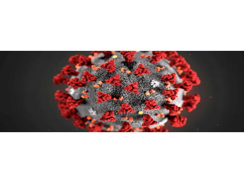 Не дивлячись на карантин магазин працює у повноцінному режимі