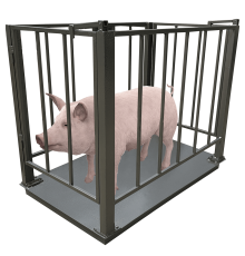 Весы для свиней Днепровес ВПД-СК-750х1200 0.5т