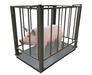 Весы для свиней Днепровес ВПД-СК-750х1200 2т