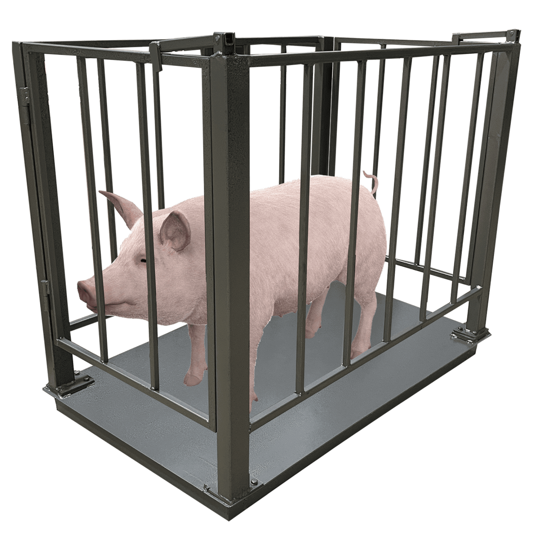 Весы для свиней (1000х1500) 3т