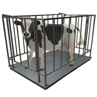 Весы для взвешивания скота