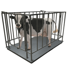 Ваги для великої рогатої худоби Днепровес ВПД-СК-1520 1т