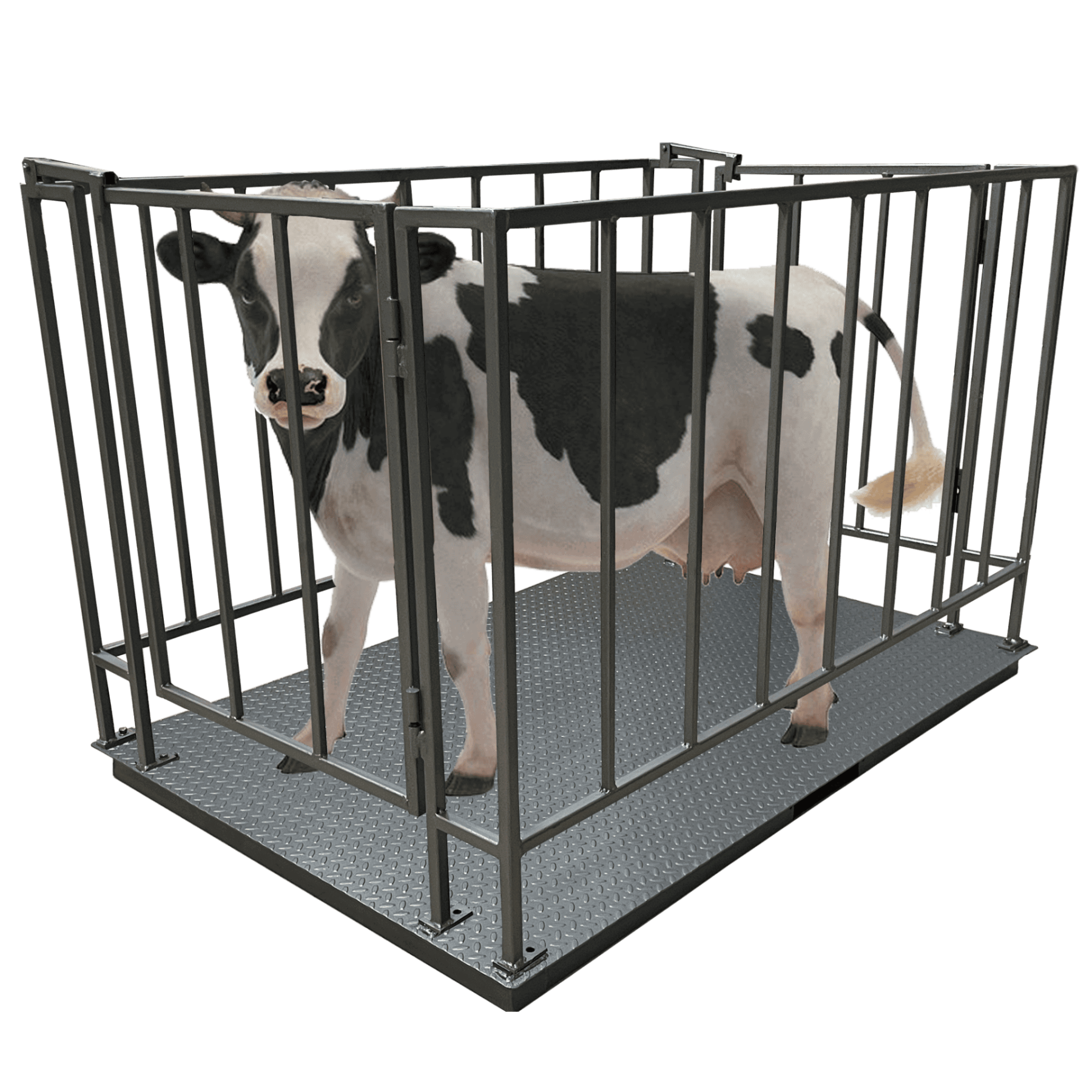 Весы для крупного рогатого скота (1200х2000) 0.5т