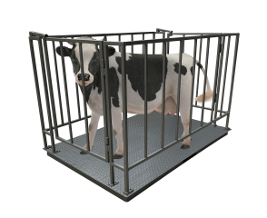 Ваги для великої рогатої худоби Dneproves ВПД-СК-1020 0.5т