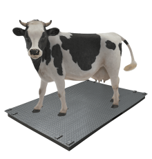 Ваги для великої рогатої худоби без решітки Днепровес  ВПД-1220-СК 2т