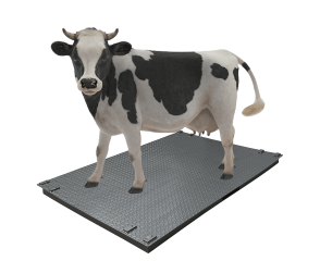 Ваги для великої рогатої худоби без решітки Днепровес  ВПД-1220-СК 3т