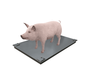 Ваги для свиней без решітки Днепровес ВПД-750х1200-СК 0.5т