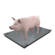 Весы для свиней без решетки (750х1200) 0.5т