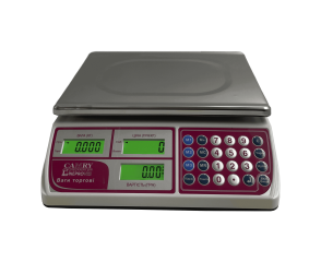Торговые весы Днепровес ВТД-СС1 30кг
